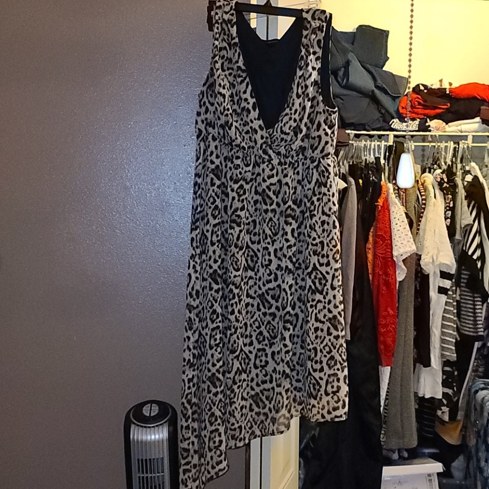 Leopard Print Dress
